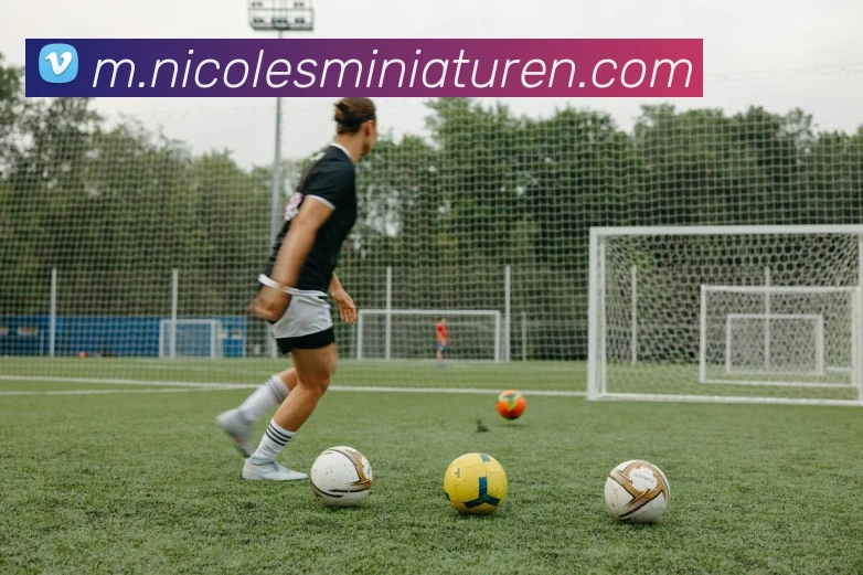 奖项证书